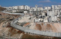 Palestine hối thúc Mỹ gây áp lực với Israel trong vấn đề nhà định cư 